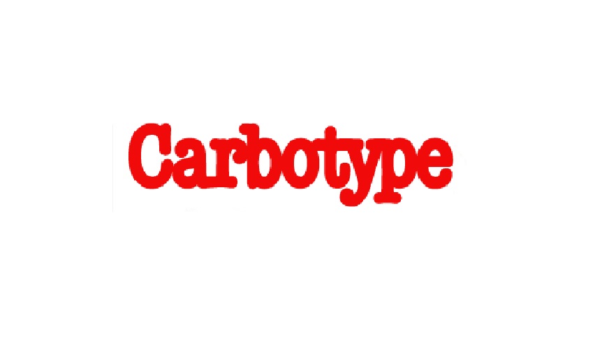 Carbotype