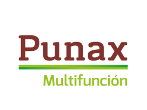 Punax